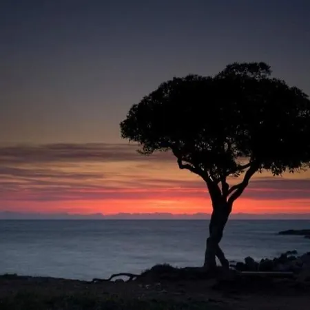 Beautiful Sea View, Quiet In Agricultural * Antibes